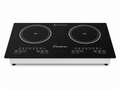 2 Burner Induction Cooker